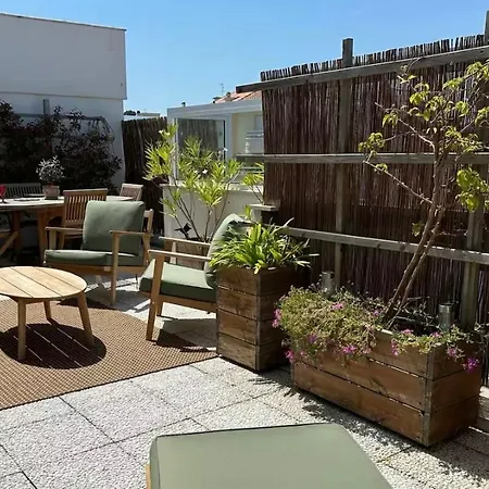 Centre - Roof - Terrasse - Climatisation * アルカション